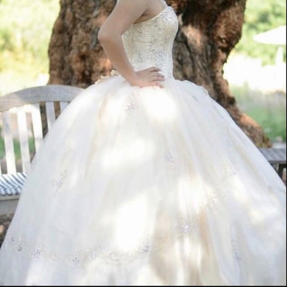 Champagne Color Dress - Picture 2 of 5